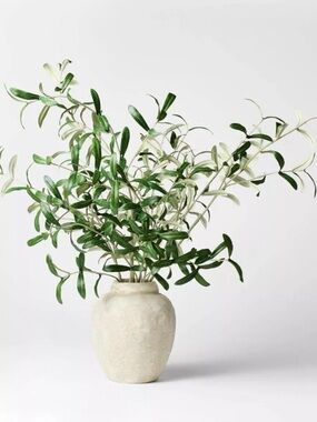 Studio McGee Olive Leaf Potted Arrangement
